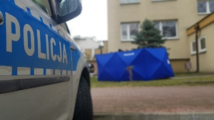 widok części radiowozu z napisem policja i w tle blok i niebieski parawan