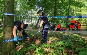 uczestnicy wspólnych ćwiczeń służb ratowniczych