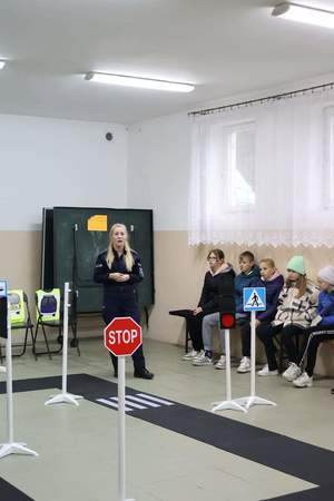 uczestnicy - młodzieżowych drużyn pożarniczych z terenu gminy Borowa oraz powiatu mieleckiego