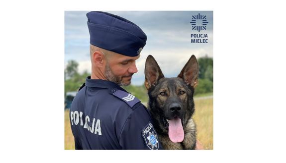 sierż. szt. Daniel Lasek z DOLAREM