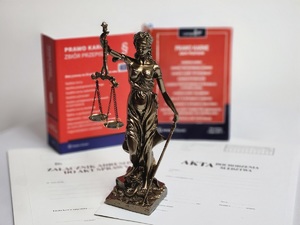 temida i kodeksy karne