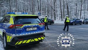 policjanci WRD przy radiowozie