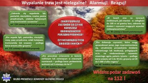 Temat infografiki: Wypalanie traw jest nielegalne ! Alarmuj ! Reaguj ! 
Na tle zdjęcia przedstawiającego pożar obszaru leśnego widnieją tablice koloru zielonego z zacytowanymi przepisami prawnymi: 
„Zabrania się wypalania łąk, pastwisk, nieużytków, rowów, pasów przydrożnych, szlaków kolejowych oraz trzcinowisk i szuwarów” art. 124 ustawy o ochronie przyrody
„Kto wypala łąki, pastwiska, nieużytki, rowy, pasy przydrożne, szlaki kolejowe, trzcinowiska lub szuwary - podlega karze aresztu albo grzywny” art. 131 ustawy o ochronie przyrody 
„Kto powoduje zniszczenie w świecie roślinnym lub zwierzęcym w znacznych rozmiarach – podlega karze pozbawienia wolności od 3 miesięcy do lat 5” art. 181 kodeksu karnego 
 „W lasach oraz na terenach śródleśnych, jak również w odległości do 100 m od granicy lasu, zabrania się działań i czynności mogących wywołać niebezpieczeństwo” art. 30 ustawy o lasach państwowych 
„Kto dokonuje czynności, które mogą spowodować pożar, jego rozprzestrzenianie się, utrudnienie prowadzenia działania ratowniczego lub ewakuacji, polegających m.in. na niedozwolonym używaniu otwartego ognia, paleniu tytoniu – podlega karze aresztu od 5 do 30 dni, grzywny od 20 do 5000 zł albo nagany” art. 82 kodeksu wykroczeń 
W prawym dolnym rogu widnieje napis:  Widzisz pożar zadzwoń na 112 !
W lewym dolnym rogu widnieje logo Policji oraz napis: Biuro Prewencji Komendy Głównej Policji